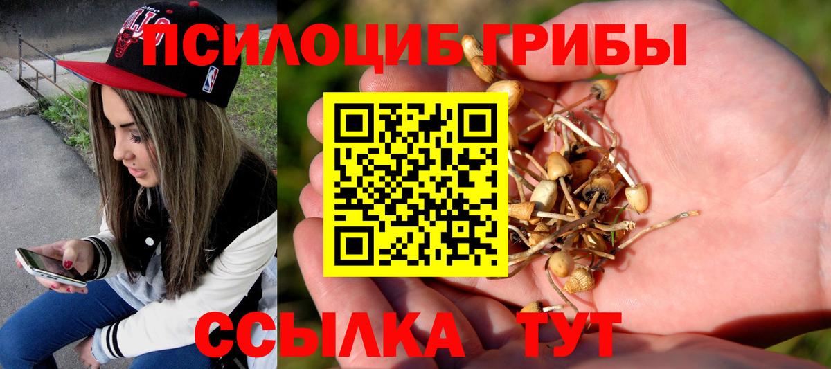 Псилоцибиновые грибы мухоморы Сегежа